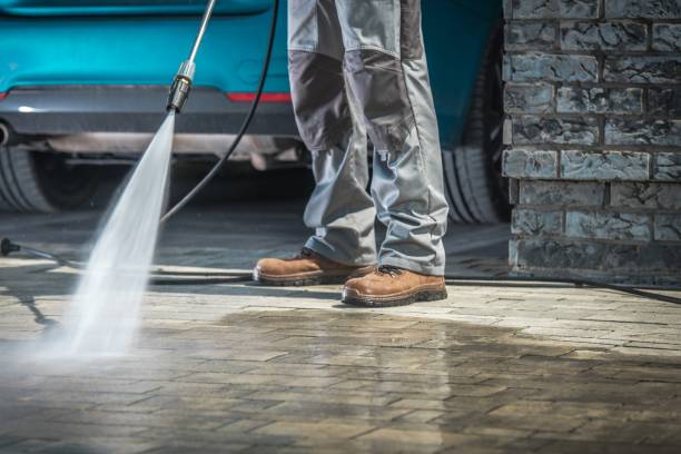 Best Roof Washing  in Shively, KY