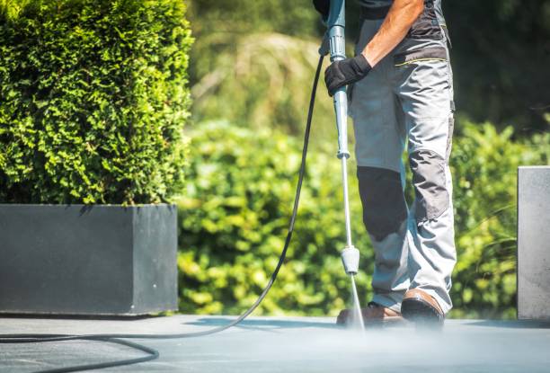 Best Solar Panel Cleaning  in Shively, KY