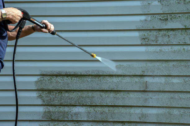 Best Fence Cleaning  in Shively, KY